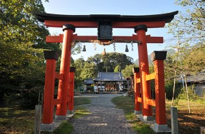 Niukanshobujinja_02