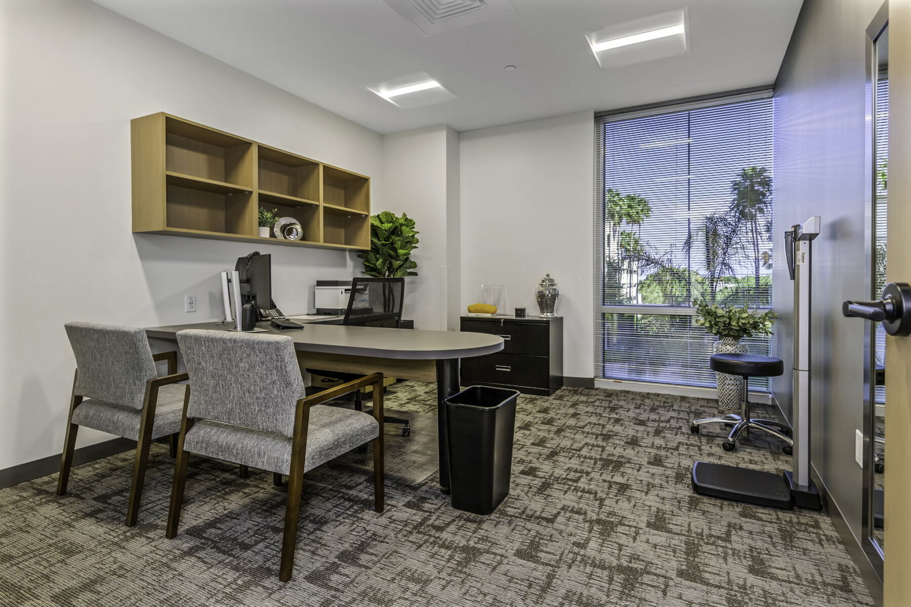 Tampa Liposuction Procedures with Sono Bello