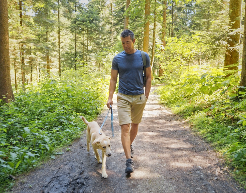 Man walking a Labrador retriever on a forest trail surrounded by tall trees and lush greenery on a sunny day.